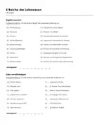 Vorschau - Arbeitsblätter - 5 Reiche der Lebewesen (Informationstext und Übungen) - Seite 1