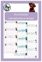 Vorschau - Poster - editierbarer Stundenplan Labradorklasse dunkel/braun #Klassentier - Deckblatt