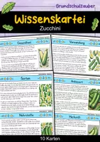 Vorschau - Bildkarten - Zucchini - Wissenskartei - Obst - Deckblatt