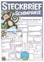 Vorschau - Arbeitsblätter - Steckbrief Schimpanse Sachunterricht / Affe - Deckblatt
