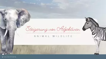 Vorschau - Stundenentwürfe - Englisch: Steigerung der Adjektive - Präsentation und Übung - Seite 1