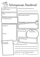 Vorschau - Arbeitsblätter - Steckbrief Schimpanse Sachunterricht / Affe - Seite 3