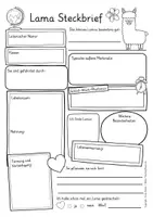 Vorschau - Stationenlernen - Lama Steckbrief Sachunterricht Grundschule Lamaklasse - Seite 2