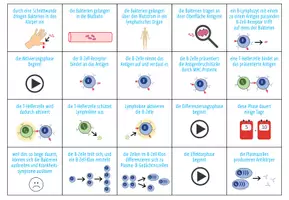 Vorschau - Stationenlernen - Immunsystem: humorale Abwehr - Sortieraktivität (Abitur) - Seite 1