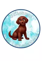 Vorschau - Poster - Türschilder Labradorklasse dunkel/braun #Klassentier - Seite 1