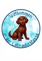 Vorschau - Poster - Türschilder Labradorklasse dunkel/braun #Klassentier - Seite 2
