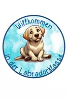 Vorschau - Poster - Türschilder Labradorklasse hell #Klassentier - Seite 2