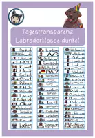 Vorschau - Poster - Tagestransparenz Labradorklasse dunkel/braun #Klassentier - Deckblatt