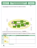 Vorschau - Arbeitsblätter - Cells - Chloroplasts - Seite 3