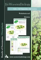 Vorschau - Arbeitsblätter - Cells - Chloroplasts - Deckblatt