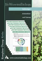 Vorschau - Arbeitsblätter - Zellen - Komplexe Übung - Krebs - Deckblatt