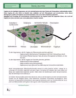 Vorschau - Arbeitsblätter - Zellen - Übung - Zelltypen - Euglena - Seite 2