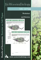 Vorschau - Arbeitsblätter - Cells - Exercise - Types of Cells - Euglena - Deckblatt