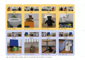 Aperçu - Jeux - Les prépositions avec des animaux en peluche : Quartett - Page 1