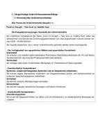 Vorschau - Stundenentwürfe - Pauker Unterrichtsentwurf UPP - Englisch Past Perfect - Seite 3