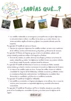 Vista previa - Unidades / Secuencias / Situaciones de Aprendizaje - CUADERNO DE CAMPO LOS CASTILLOS - página 2