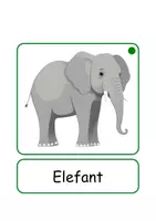 Vorschau - Arbeitsblätter - XXL Lesekarten/Bildkarten Zootiere Silben - DaZ/DaF, Deutsch (Grundschule) - Seite 3
