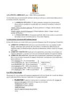 anteprima - Programmi scolastici / Materiali per docenti - Riassunto su due tipi di biomi_A028_A050 - Pagina 3