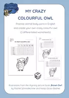 Vista previa - Juegos / Gamificación - Brown Owl - My Crazy Colourful Owl - Portada