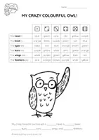 anteprima - Esercizi - Brown Owl - My Crazy Colourful Owl - Pagina 1