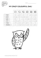 anteprima - Esercizi - Brown Owl - My Crazy Colourful Owl - Pagina 2