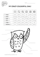 anteprima - Esercizi - Brown Owl - My Crazy Colourful Owl - Pagina 3