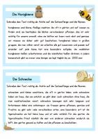 Vorschau - Aufgabenkarten - Abschreibkartei Teil 1 - Deckblatt