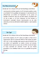 Vorschau - Aufgabenkarten - Abschreibkartei Teil 1 - Seite 1