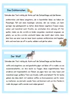 Vorschau - Aufgabenkarten - Abschreibkartei Teil 1 - Seite 2
