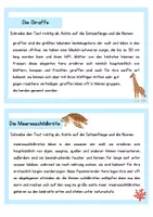 Vorschau - Aufgabenkarten - Abschreibkartei Teil 1 - Seite 3
