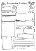 Vorschau - Arbeitsblätter - Steckbrief Eichhörnchen Sachunterricht - Seite 1