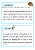 Vorschau - Aufgabenkarten - Abschreibkartei Teil 2 - Seite 2