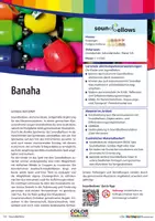 Vorschau - Stundenentwürfe - Banaha - Begleitung mit Soundbellows - Deckblatt