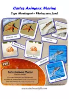 Aperçu - Apprentissages en autonomie - Cartes Animaux Marins - Photos réelles avec fond - Page de couverture