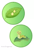 Vorschau - Arbeitsblätter - Materialpaket passend zu „The very hungry Caterpillar“ - Seite 1