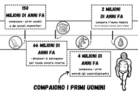 anteprima - Altro tipo di materiale - Linea del tempo della preistoria da colorare - Pagina 3