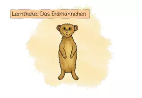 Vorschau - Fördermaterial/Inklusion - Lerntheke "Das Erdmännchen" (Zootiere) - Seite 2