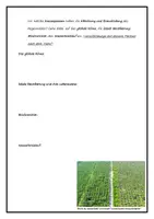 Vorschau - Arbeitsblätter - Regenwald unter Druck - Die Folgen der Abholzung - Seite 2