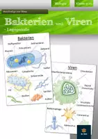 Vorschau - Spiele - Bakterien und Viren - Legepuzzle | Biologie Klasse 9/10 - Deckblatt