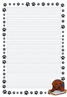 Vorschau - Arbeitsblätter - Briefpapier Labradorklasse dunkel #Klassentier #Hundeklasse - Seite 1