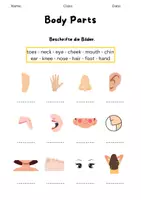 Vorschau - Arbeitsblätter - Pauker Englisch - Classroom Rules - Body Parts - Emotions - Seite 2