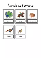 anteprima - Flashcard - Flashcards animali della fattoria - Pagina 3