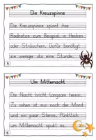 Vorschau - Aufgabenkarten - Abschreibtexte Halloween mit Lineatur Druckschrift - Klasse 1 und 2 - Seite 3