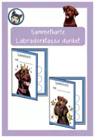 Vorschau - Anderer Materialtyp - Lobkarte Sammelkarte Verstärkersystem Labradorklasse dunkel #Klassentier #Hundeklasse - Deckblatt