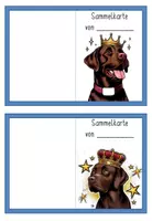 Vorschau - Anderer Materialtyp - Lobkarte Sammelkarte Verstärkersystem Labradorklasse dunkel #Klassentier #Hundeklasse - Seite 1