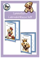 Vorschau - Anderer Materialtyp - Lobkarte Sammelkarte Verstärkersystem Labradorklasse hell #Klassentier #Hundeklasse - Deckblatt
