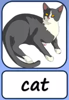 Vorschau - Spiele - WORTKARTEN: Animals - Seite 1