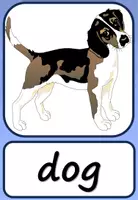 Vorschau - Spiele - WORTKARTEN: Animals - Seite 2