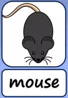 Vorschau - Spiele - WORTKARTEN: Animals - Seite 3