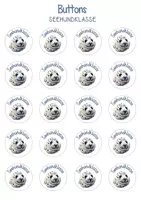 Vorschau - Bildkarten - Buttons Seehundklasse - Seite 3